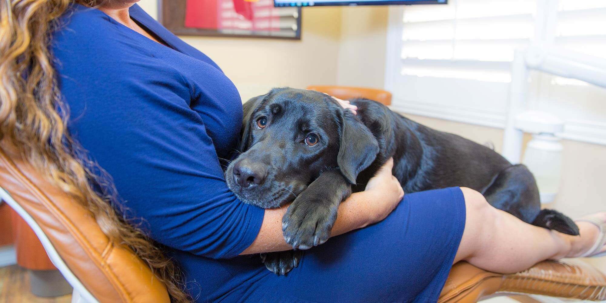 Stella-therapy-dog-sitting-with-patient-in-chair