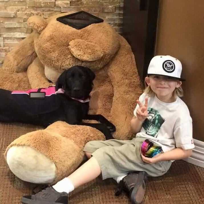 dental therapy dog lake elsinore lakefront family dentistry