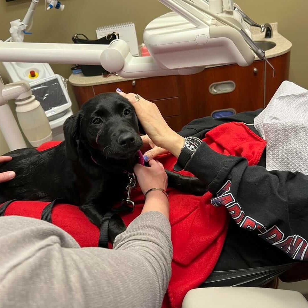 Presley is one of our adorable dental therapy dogs in training at Lakefront Family Dentistry.
