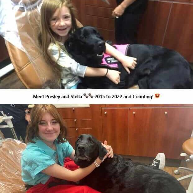 pediatric dentistry and dental therapy dog