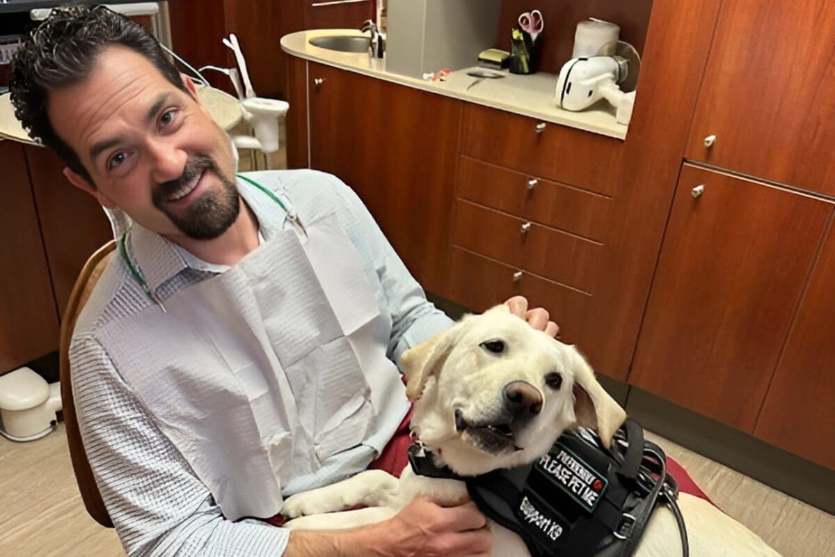 dental therapy dog office lake elsinore