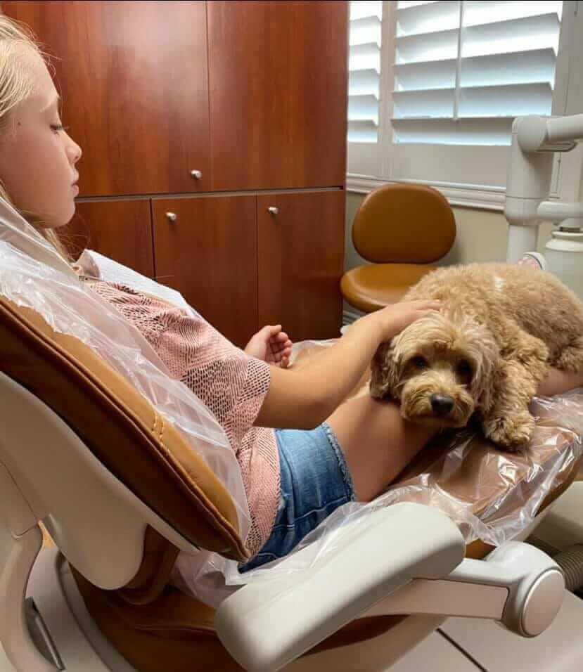 dental therapy dog for children