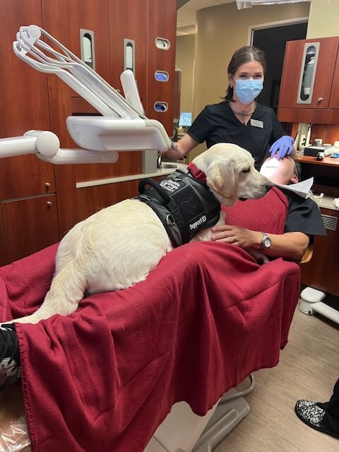 dentist office with therapy dog