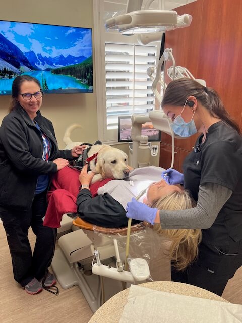 best dental therapy dog dentist office
