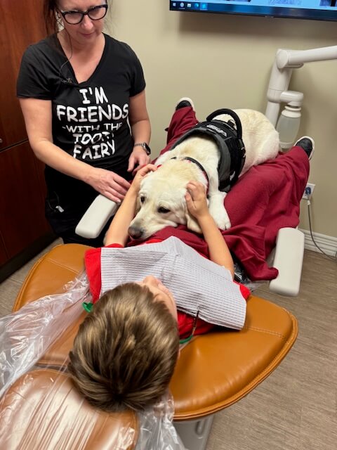 dentist near me therapy dog kids children