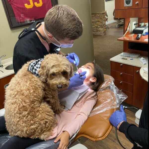 lake-elsinore-dentist-therapy-dog-lakefront-family-dentistry-1-e1646754046331-600x600