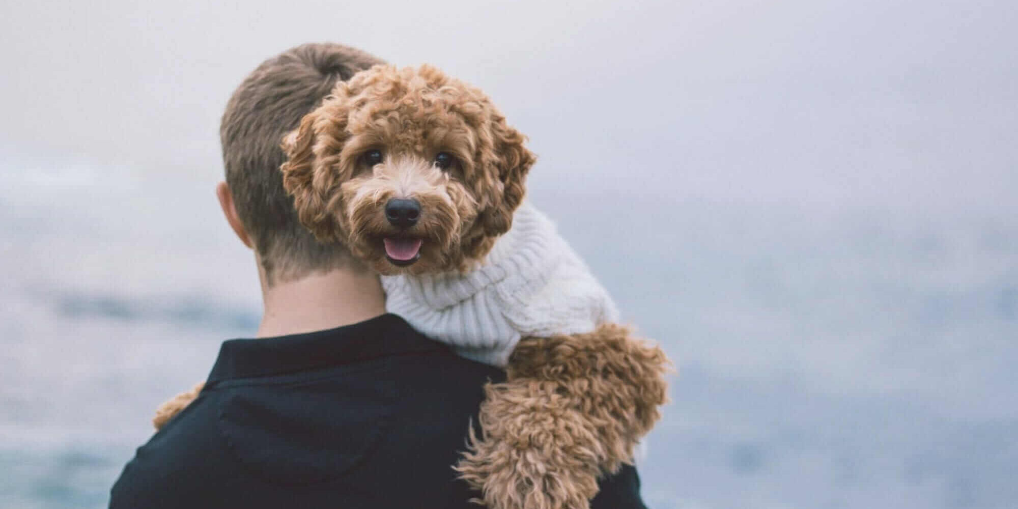 Dr. Mark Phillipe, DDS, with his Beautiful Dental Therapy Dog and Family Member, Nilla.