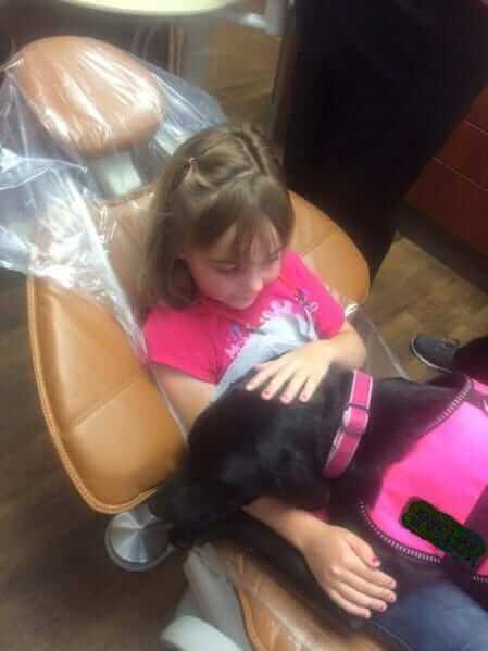 dentist therapy dog children kids dental lake elsinore dentist therapy dog children kids dental lake elsinore